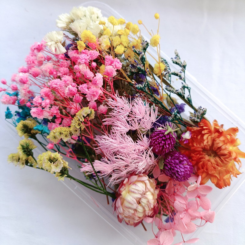 微信图片_20230223183627