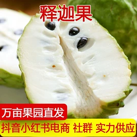 苹果;其他水果;梨