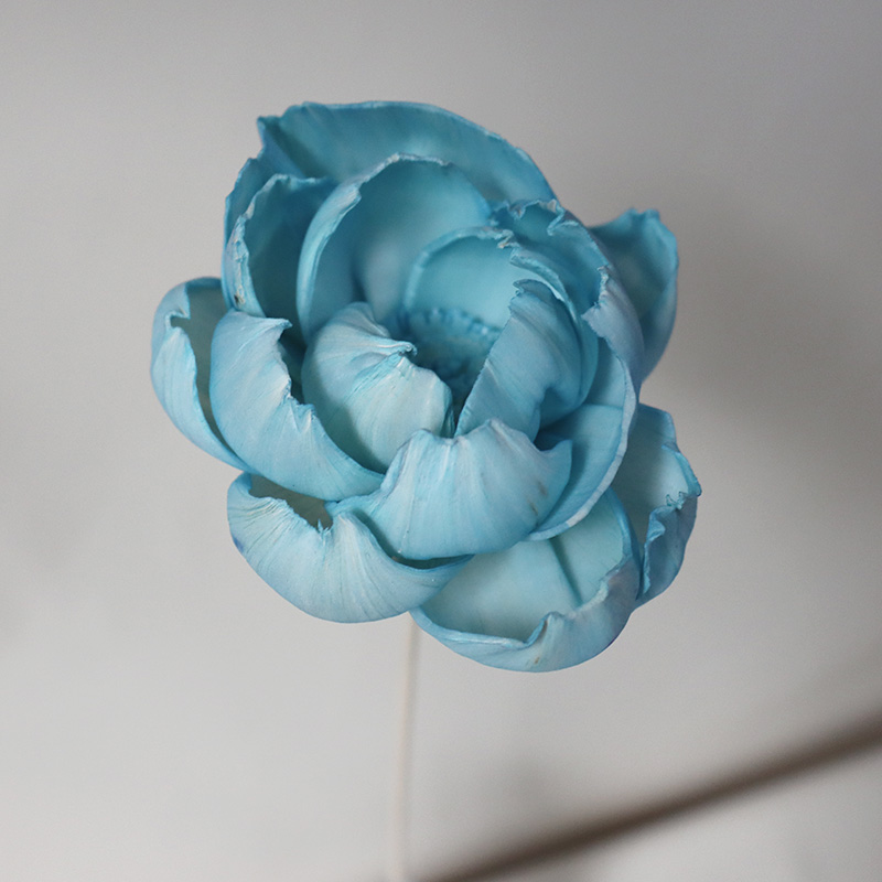 Una flor de peonía de hierba azul