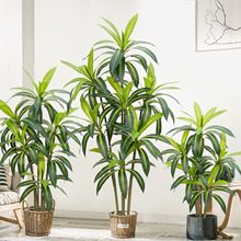 �߶��p�ݷ���Gֲ����ľ���Է�������辰�پGֲ�b����҃Ȕ[��