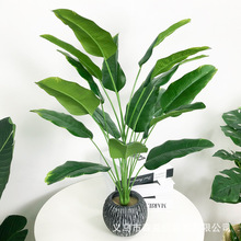 18�^����Ž�����ֲ���������˽��^�z�ٟᎧ�����B�Ҿ������b�