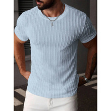 H 48683 Striped muscle fitness tee �����ƽ����˶�����