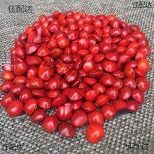 ��Ȼ�t������ԭ����˼�����t���ִ����ɢ��Փ��t������һ�w���