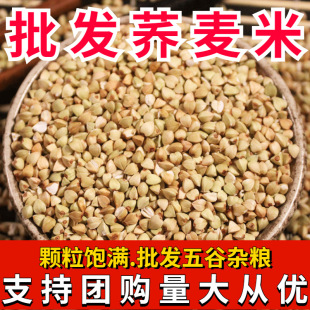 �w���� �r���Ԯa���l���w������������������s�Z�ּZ