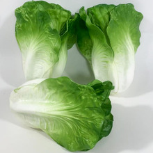 �������˼��߲˰ײ������ļ��������[�����۲˿���S�Ͻz������