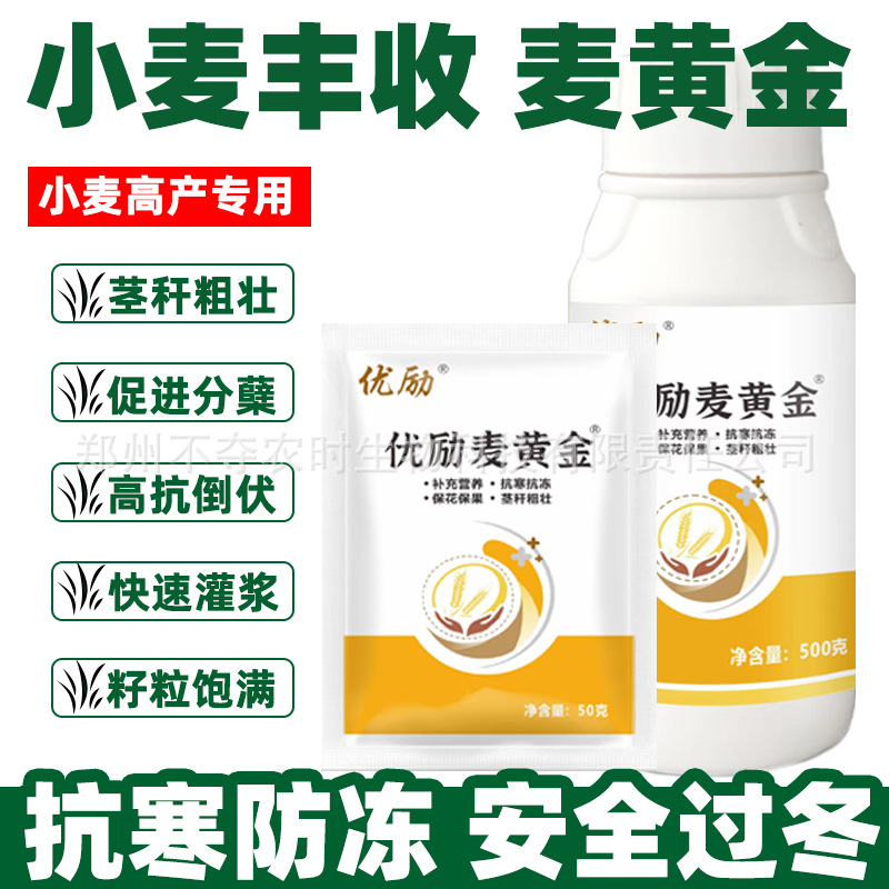 小麦专用营养肥麦黄金含氨基酸水溶肥料分蘖抗倒伏增产增收粒饱满