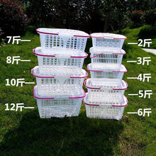 ��ժ�@��ݮ�@���wˮ���@��÷����ʽˮ����ɳ�ǽ۳��ж������Ͽ�