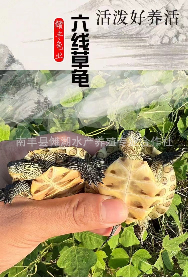 微信图片_20221104125815