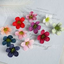 ��z�qС�m�����滨 �ֹ�DIY���b�ػ��^�������ٻ�÷�����^