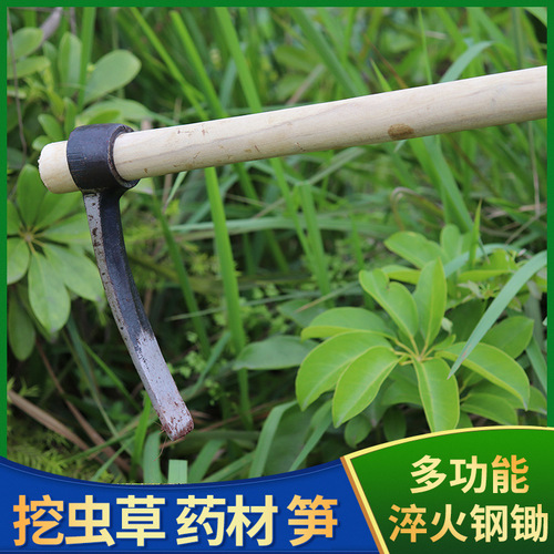 Cordyceps hoe, Cordyceps digging, herbal medicine, hand-forged small hoe, agricultural gardening tools, thickened small hoe