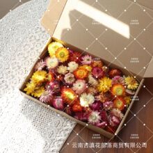 ���߲��r�������ա�DIY�����ɻ���Ȼ�滨���������b�ͯ�ֹ���