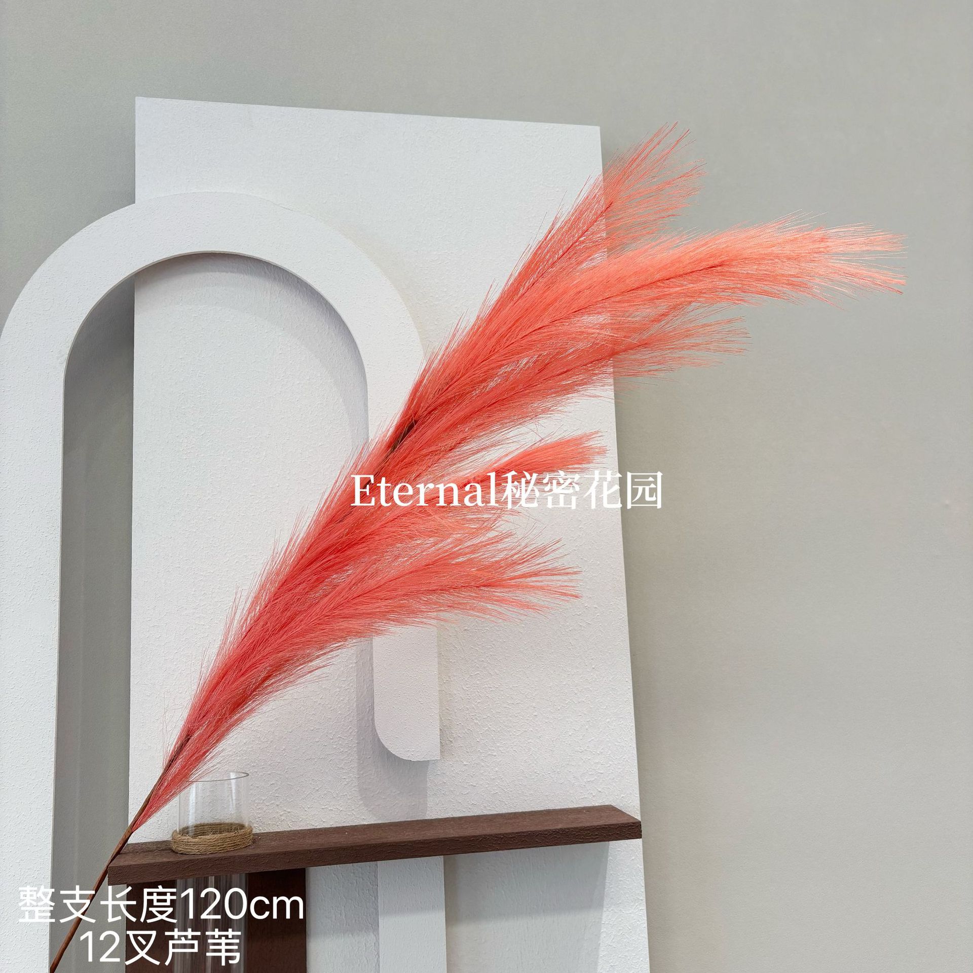Fireworks reed coral orange