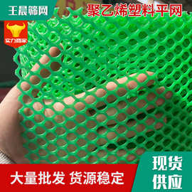 厂家绿色塑料平网养殖水产围蔽垫底塑料网鸡鸭鹅养殖底网