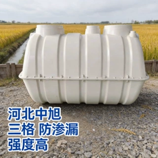 小型家用三格玻璃钢化粪池smc一体模压成型防渗漏强度高