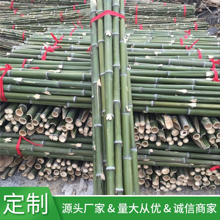 Место производства поставляет от 2 до 5 метров бамбукового бамбука слегка бамбукового шеста