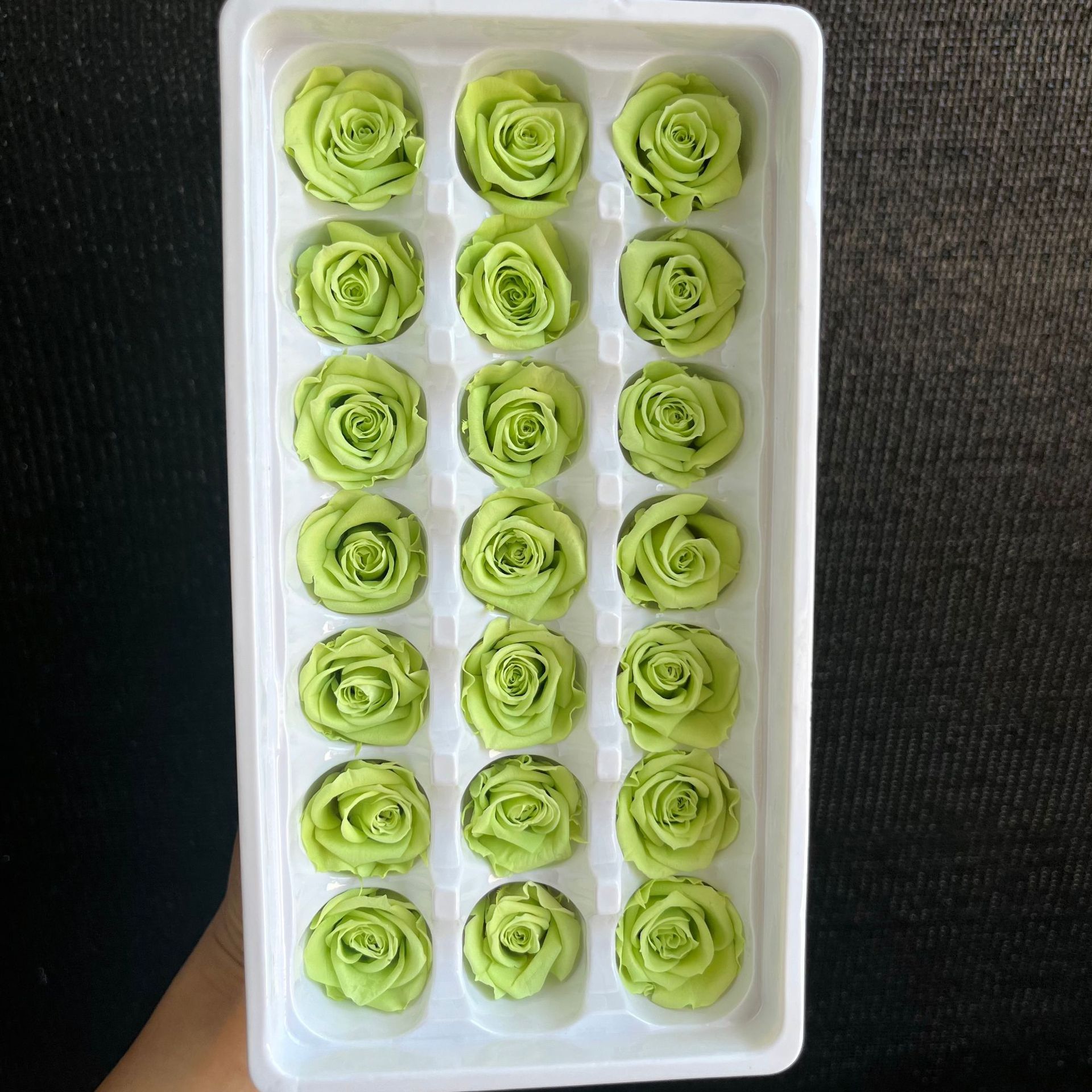 Grado B, amarillo verdoso, 2-3 cm/caja de 21 flores.