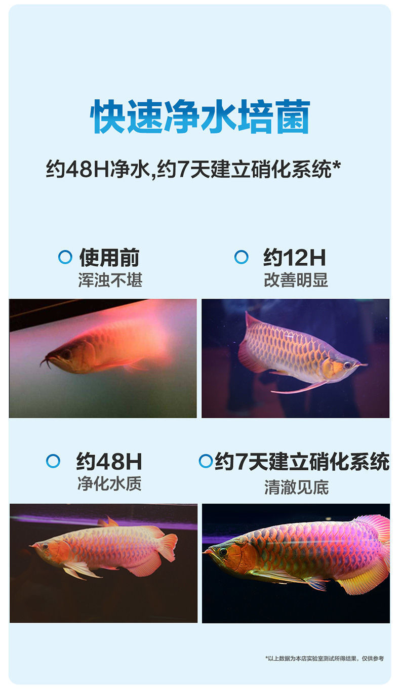 10d12045-b48f-4539-b638-fa8344fb92e7.jpe