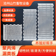 ����©�S��Ӻ������u���Z�Bֳ��̖�u��ذ�CеPP���|�u��