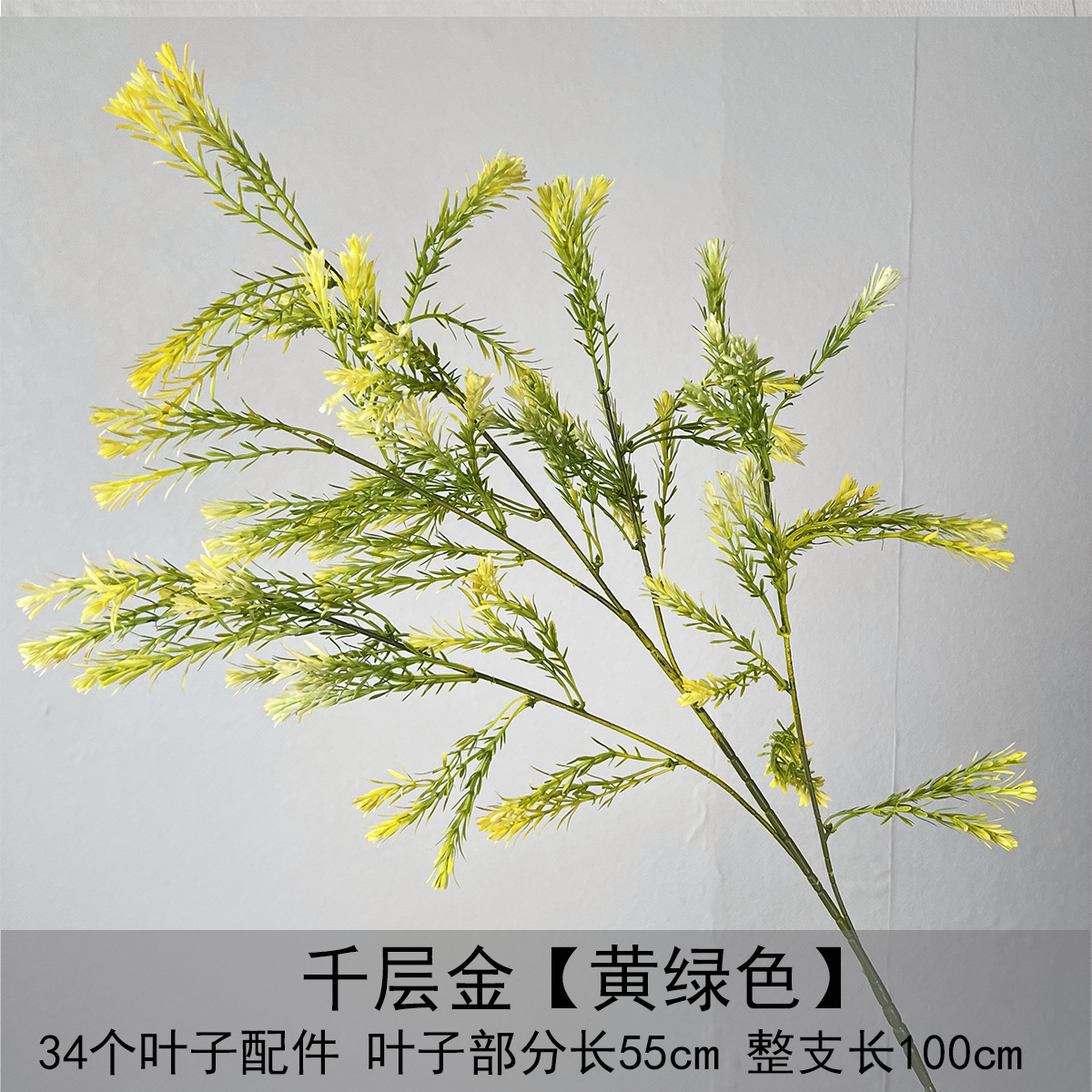 라자냐-노랑-녹색