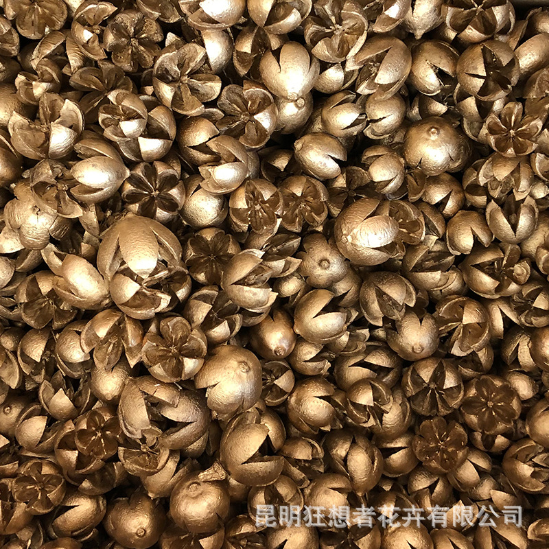 Quả hồ trăn vàng (một túi 20g, khoảng 20 chiếc)
