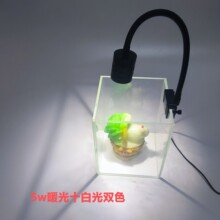 �~��USBѭ�h���r5w�{���{ɫsˮ�������~�����ֲ���a����쾰��