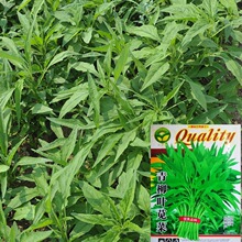 ~{˲˷N͟׷N߲˷Nļ~