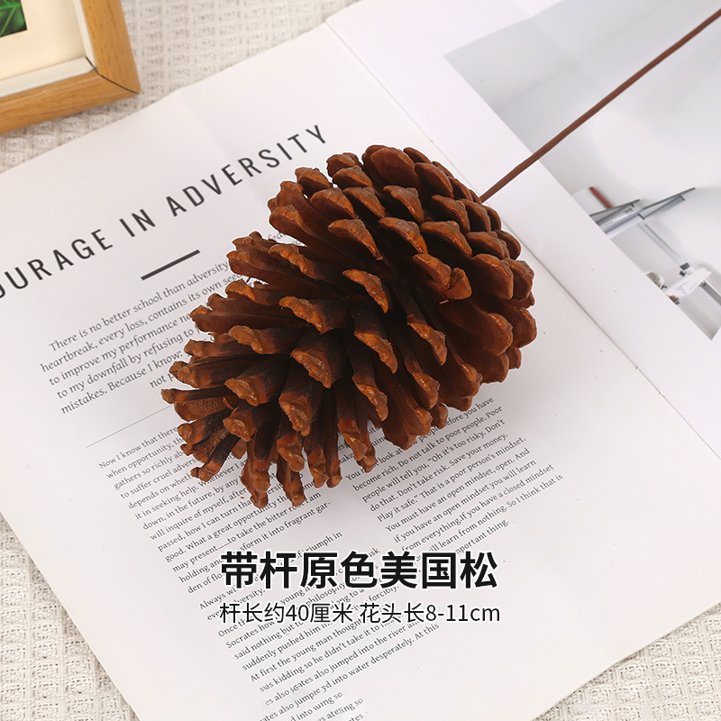 로드 오리지널 컬러 아메리칸 파인