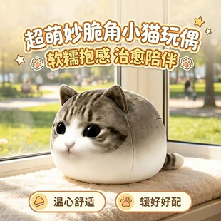 ����С؈�W�t��Ц�޻�����ë�q���؈��ɐ۱�������Ů���ѶY��