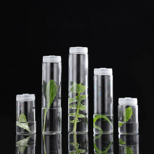 ���l47mm�M��ԇ��ƿ���w�Ӳ���ƿ���ƿ�ʺ�ƿƯ��ƿ����ƿ����ƿ