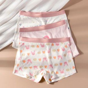 3-pack ETXJUST children's underwear cotton girls' underwear big children girls' baby boxers 2-15 years old