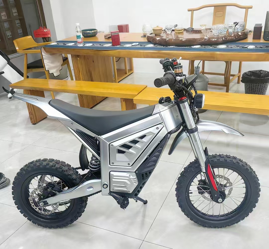 2026 New Model Popular Export Electric Motorcycle for Teenagers, Electric Dirt Bike, Off-Road Vehicle