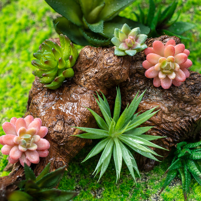 Simulación transfronteriza suculenta especial para plantación de aloe vera pequeña plantación verde pequeña plantación de bonsai pequeña plantación de flores suculentas accesorios diy falso plantación verde