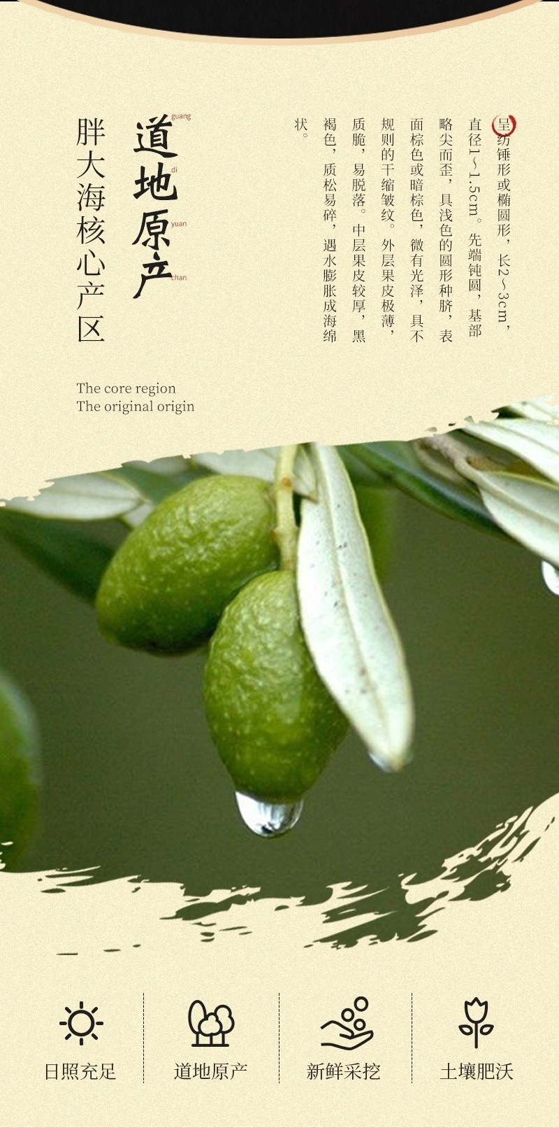 Fat Sea Seed Pang Da Hai 50g Dried Sterculia Seed for Throat-Soothing Herbal Tea Autumn Winter Wellness overview