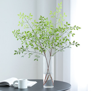 �����������֦���پGֲ��֦�͏d�̈��b��쾰��ؔ[���Ĕz����