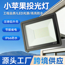 羳ledͶ50W100W㹦ͥԺˮСOͶ