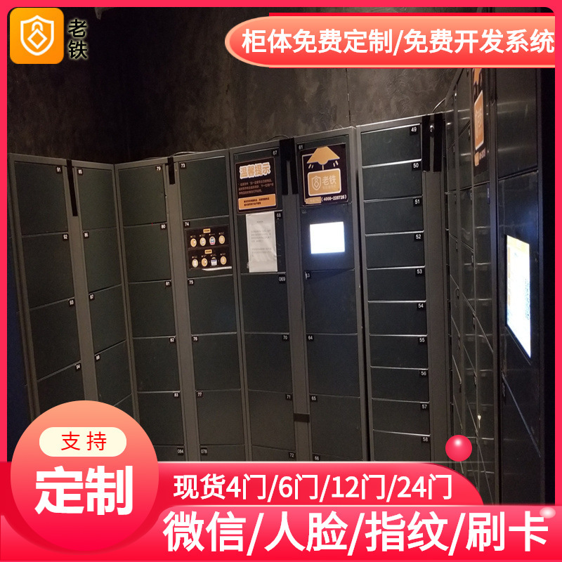 湖南长沙人脸识别智能储物柜/共享寄存柜/颜色可选个性喷绘外型
