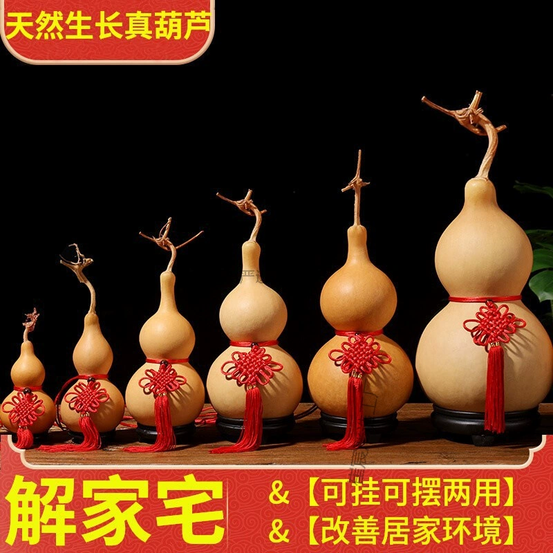 Подвеска из натуральной тыквы, китайский узел, пять императоров, деньги, деревянная большая тыква, окно для спальни, туалет, настоящая тыква, украшения для гостиной