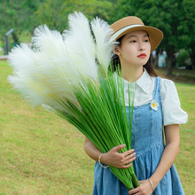 欧式芦苇草仿真花狗尾巴草干花花束客厅摆设室内橱窗装饰绿植摆件