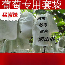 葡萄葡萄防虫套果袋纸套防鸟果子袋批果树袋子袋子的水果套袋代子
