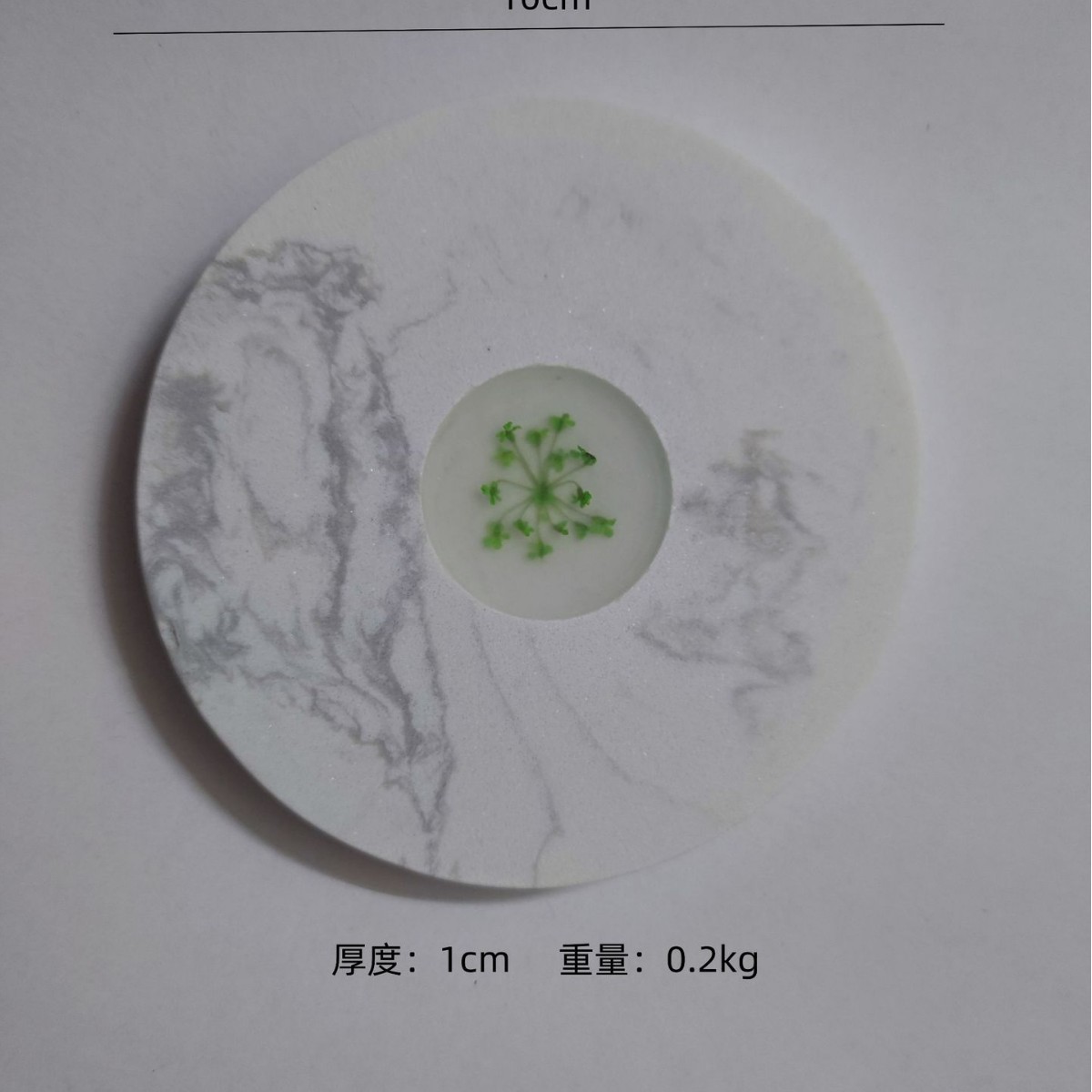 중앙에 녹색 꽃