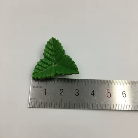 3 Green Triangle leaf
