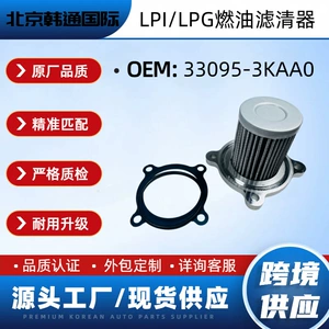 33095-3Kaa0 330953Kaa0 Hyundai və Kia avtomobil hissələri üçün təbii qaz filtri