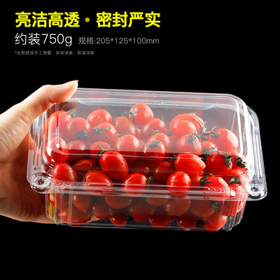 卸売り使い捨て透明果物包装箱は、抗圧PET果切箱の超専用スイカ包装箱を厚くする|undefined