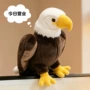海雕儿童仿真跨境玩偶