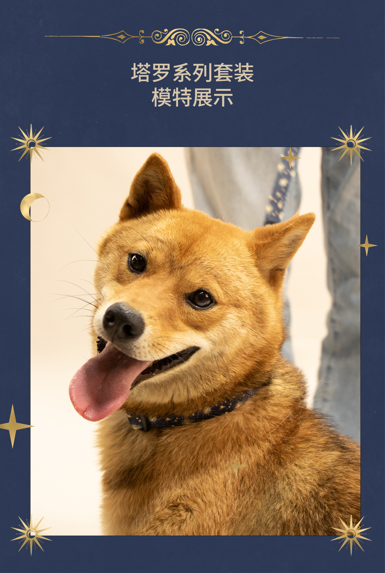 C端-塔罗详情页-中文_20.jpg