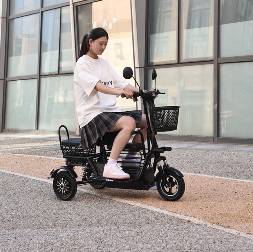 Electric Tricycle Small Household Pick-up Children Elderly Women's Folding Portable Tricycle