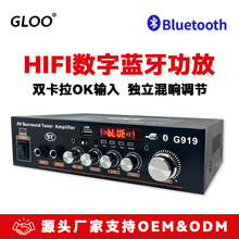 G9192025新款数字蓝牙功放机TFU盘收音12V220V车载家用大功率迷你