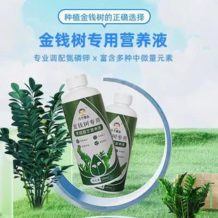 Money tree fertilizer special fertilizer vitality element flower fertilizer money tree nutrient solution special fertilizer to prevent yellow leaves and rotten roots