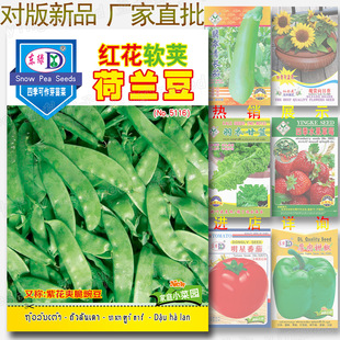 �t��ܛ�v���m���N�� �s20-30�� �����S�����㶹�N�����l �ඹ����