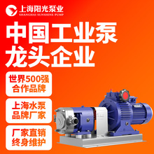LQ型不銹鋼衛生泵電動凸輪泵廠家直銷現貨供應衛生級轉子泵